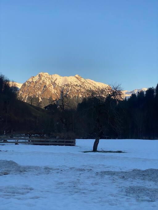 Gruenes Stueble Allgaeuer Alpen Sonthofen Exterior photo